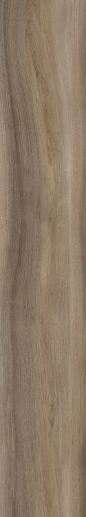 Harper Taupe 10 x 60